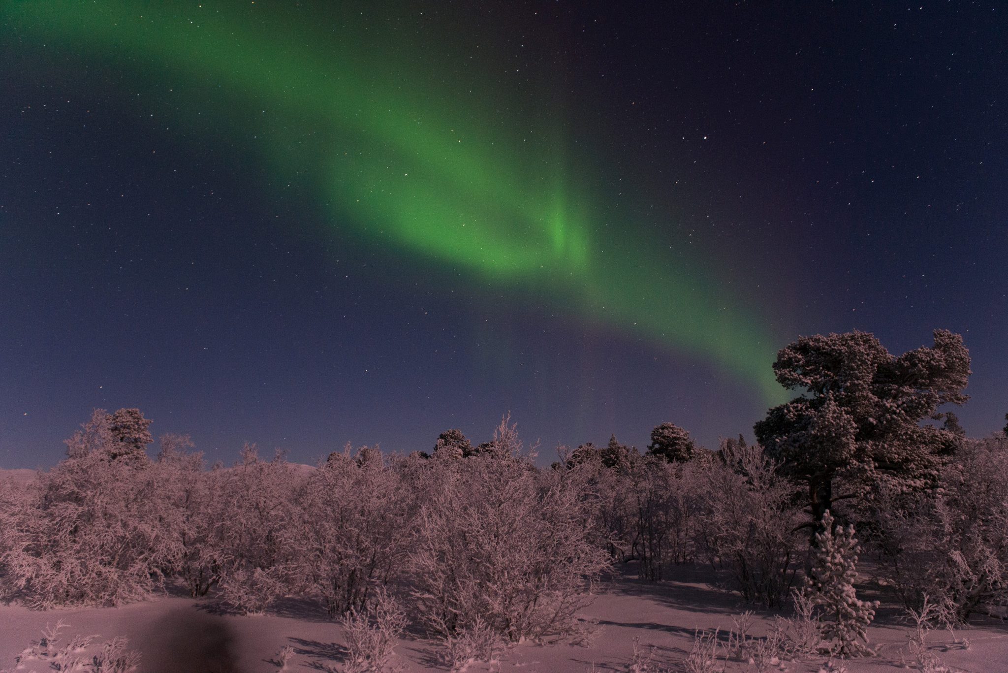 Aurora Boreal em algum ponto entre Kiruna e Abisko